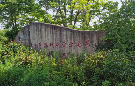 image001